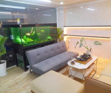 Đơn vị chuyên thiết kế thi công nội thất căn hộ trọn gói quận 6